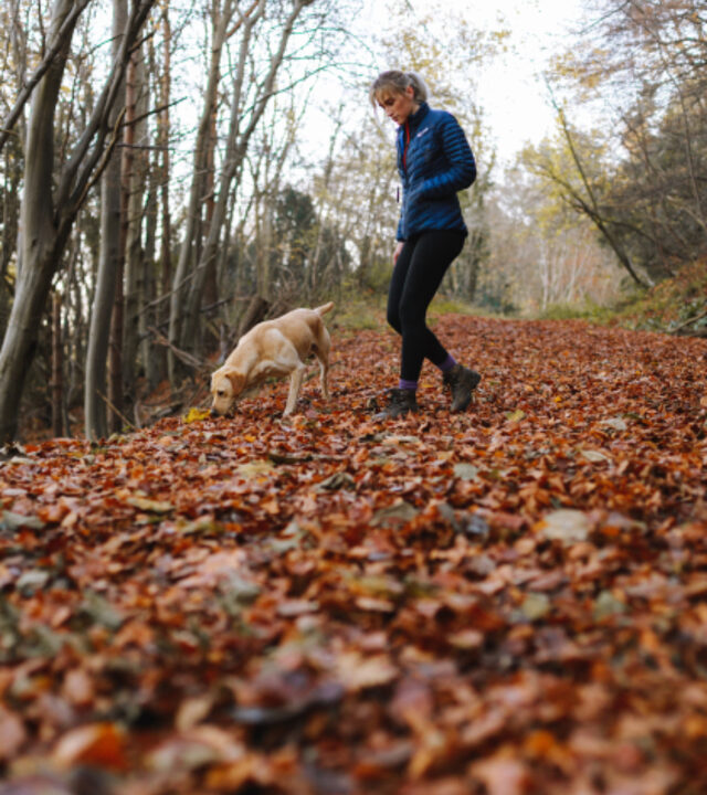 En person går med sin hund i höstlöv